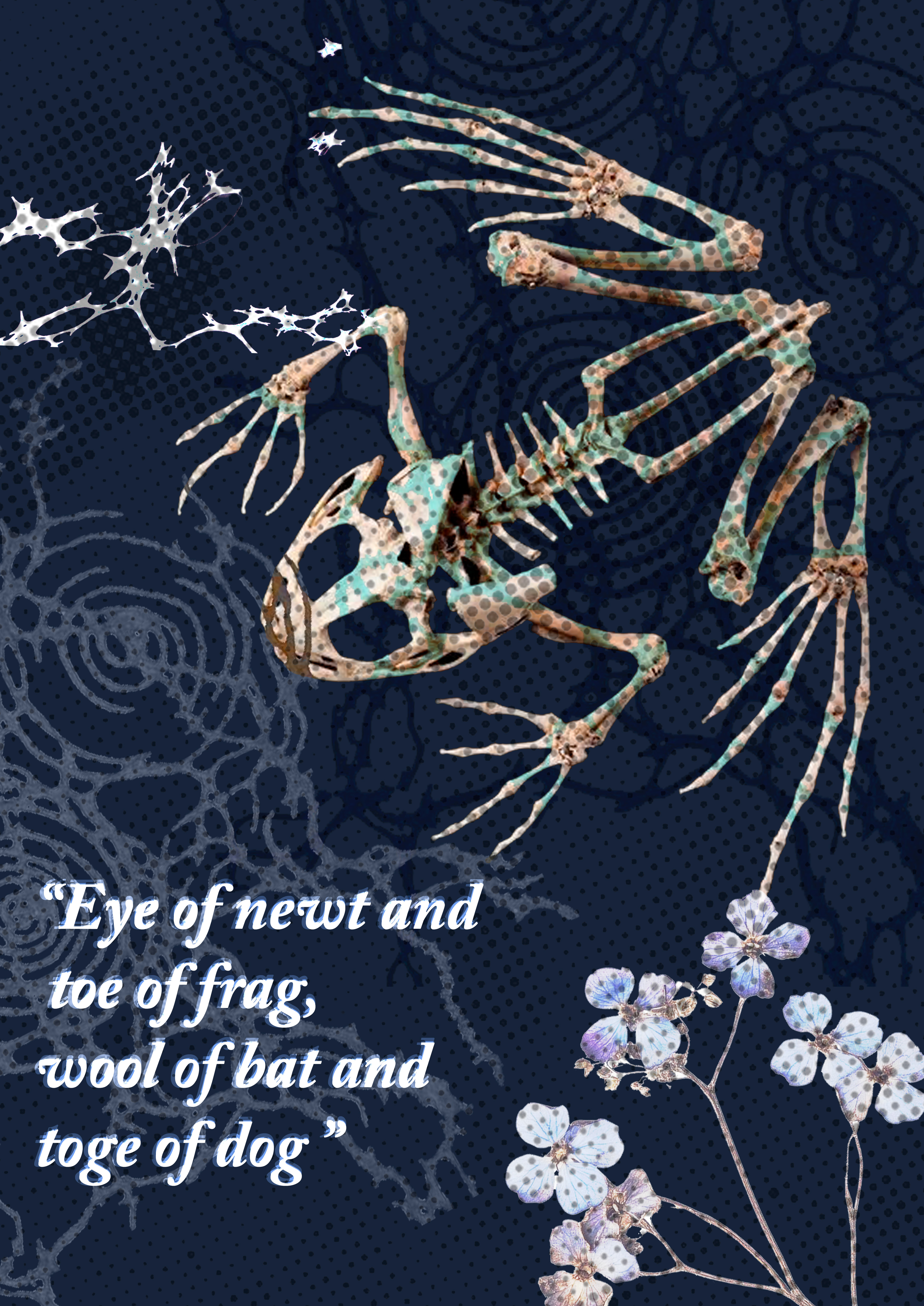 Frog poster